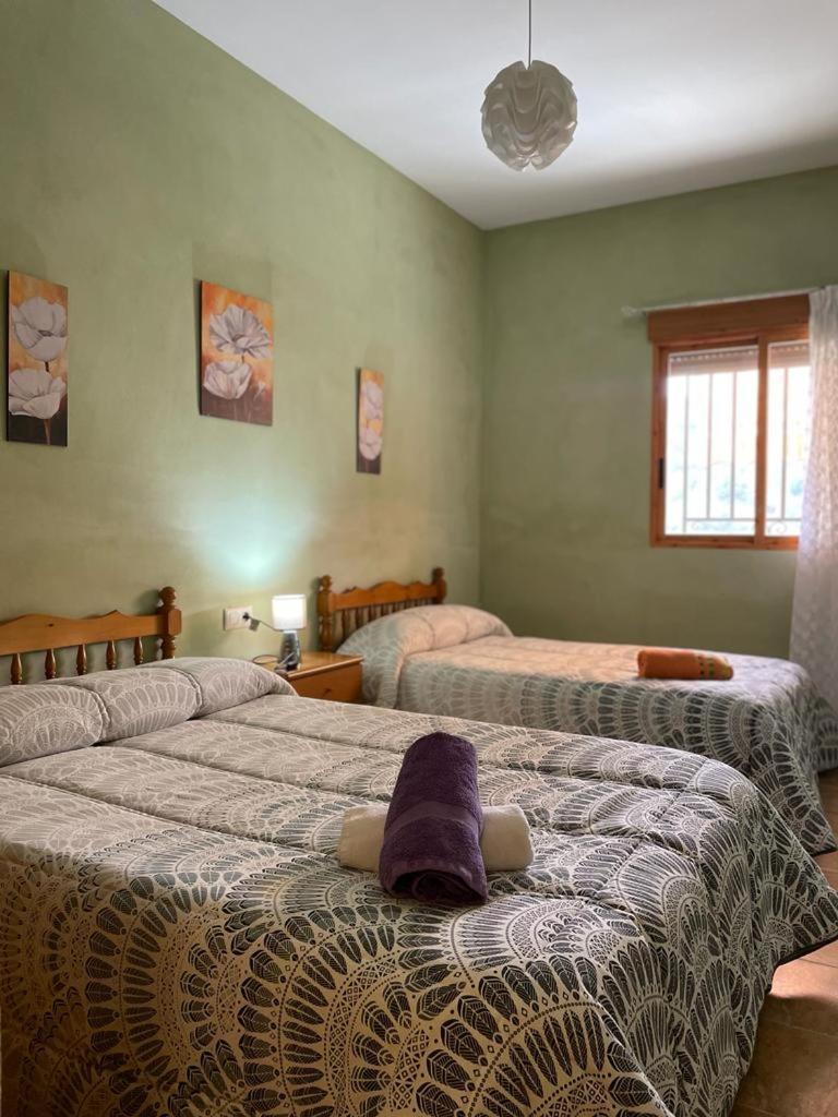Casa Rural Puente Del Segura Эльче-де-ла-Сьерра Экстерьер фото
