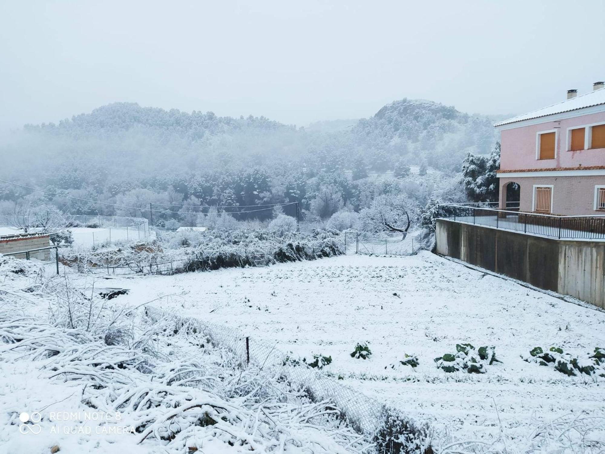 Casa Rural Puente Del Segura Эльче-де-ла-Сьерра Экстерьер фото